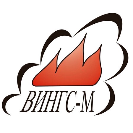 Логотип Вингс-М